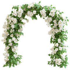 Fototapeta premium A Thick Jasmine Vine with Cascading Flowers Isolated on Transparent Background