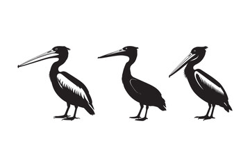Black and White Pelican Silhouette Vector Illustration
