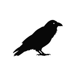Silhouette vector illustration of a Black Raven icon on a white background 