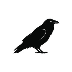 Silhouette vector illustration of a Black Raven icon on a white background 