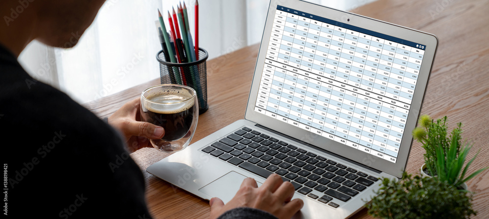 Poster accounting software on computer screen showing financial statement spreadsheets and account balance 