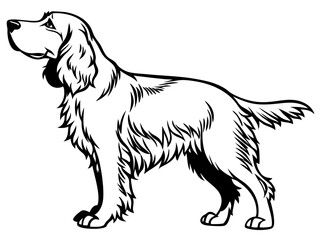 Cockalier Silhouette Vector Design, Dog SVG, Dog Icon