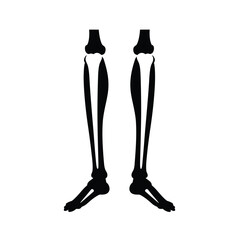 Silhouette vector illustration of a Skull Flames icon on a white background