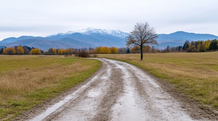Fototapeta premium A dirt road winds through a golden autumn field, leading to a mountain range with snow-capped peaks