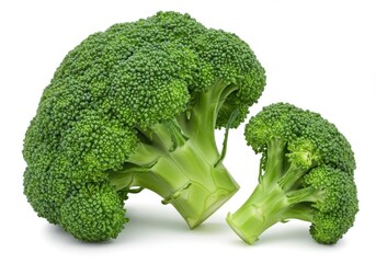 Fresh vibrant green broccoli with crisp florets and detailed texture isolated on white background