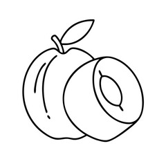 apricot fruit icon, apricot fruit line art - simple line art of apricot fruit, perfect for apricot fruit logos and icons