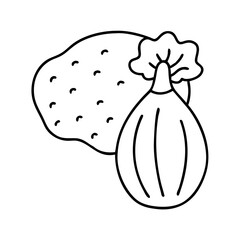 baobab fruit icon, baobab fruit line art - simple line art of baobab fruit, perfect for baobab fruit logos and icons