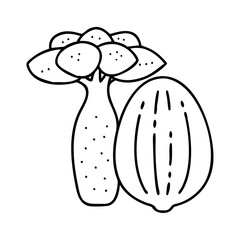 baobab fruit icon, baobab fruit line art - simple line art of baobab fruit, perfect for baobab fruit logos and icons