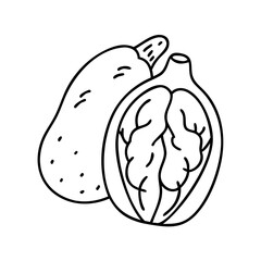 baobab fruit icon, baobab fruit line art - simple line art of baobab fruit, perfect for baobab fruit logos and icons