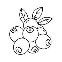 bilberry icon, bilberry line art - simple line art of bilberry, perfect for bilberry logos and icons