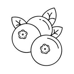blueberry icon, blueberry line art - simple line art of blueberry, perfect for blueberry logos and icons