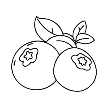 recommend clip art: blueberry icon, blueberry line art - simple line art of blueberry, perfect for blueberry logos and icons