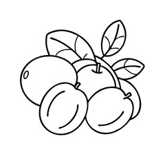 camu camu fruit icon, camu camu fruit line art - simple line art of camu camu fruit, perfect for camu camu fruit logos and icons