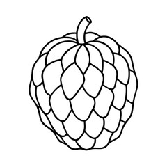 cherimoya fruit icon, cherimoya fruit line art - simple line art of cherimoya fruit, perfect for cherimoya fruit logos and icons