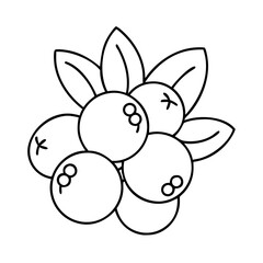 cranberry icon, cranberry line art - simple line art of cranberry, perfect for cranberry logos and icons