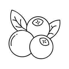 cranberry icon, cranberry line art - simple line art of cranberry, perfect for cranberry logos and icons