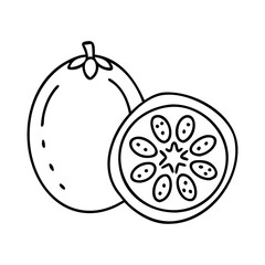 feijoa fruit icon, feijoa fruit line art - simple line art of feijoa fruit, perfect for feijoa fruit logos and icons