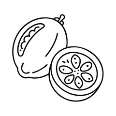 feijoa fruit icon, feijoa fruit line art - simple line art of feijoa fruit, perfect for feijoa fruit logos and icons