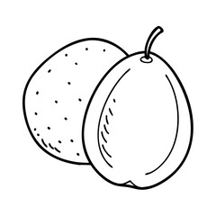 hog plum icon, hog plum line art - simple line art of hog plum, perfect for hog plum logos and icons
