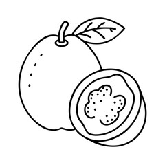 guava icon, guava line art - simple line art of guava, perfect for guava logos and icons