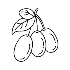 jujube fruit icon, jujube fruit line art - simple line art of jujube fruit, perfect for jujube fruit logos and icons