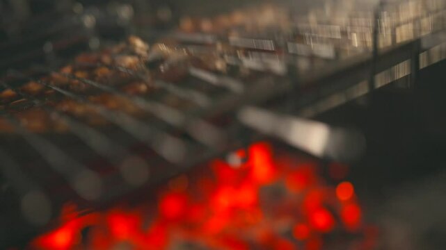 Meat is cooked on the grill, mutton on the grill, the process of cooking mutton on the grill
