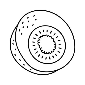 recommend clip art: kiwi fruit icon, kiwi fruit line art - simple line art of kiwi fruit, perfect for kiwi fruit logos and icons