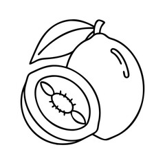 lucuma icon, lucuma line art - simple line art of lucuma, perfect for lucuma logos and icons