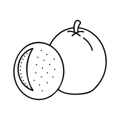 marula fruit icon, marula fruit line art - simple line art of marula fruit, perfect for marula fruit logos and icons