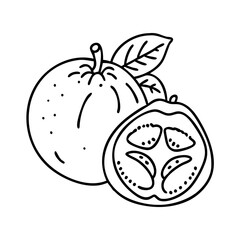 medlar fruit icon, medlar fruit line art - simple line art of medlar fruit, perfect for medlar fruit logos and icons