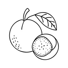 nance fruit icon, nance fruit line art - simple line art of nance fruit, perfect for nance fruit logos and icons