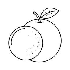 orange icon, orange line art - simple line art of orange, perfect for orange logos and icons