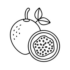 passion fruit icon, passion fruit line art - simple line art of passion fruit, perfect for passion fruit logos and icons
