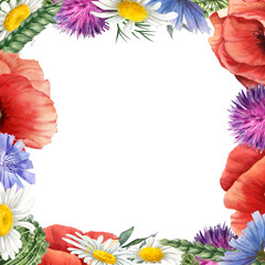 Wildflower square frame. Vintage watercolor style. Botanical floral greeting card, natural frame. Handmade collection isolated on white background. Red, white and blue flowers. Bright colour.