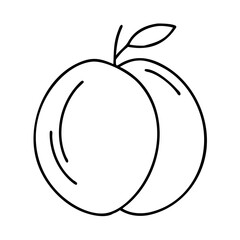 plum icon, plum line art - simple line art of plum, perfect for plum logos and icons