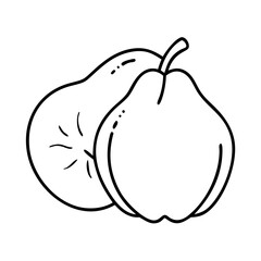 quince fruit icon, quince fruit line art - simple line art of quince fruit, perfect for quince fruit logos and icons