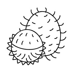 rambutan icon, rambutan line art - simple line art of rambutan, perfect for rambutan logos and icons