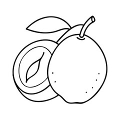 sapodilla fruit icon, sapodilla fruit line art - simple line art of sapodilla fruit, perfect for sapodilla fruit logos and icons
