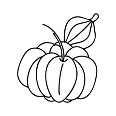 surinam cherry icon, surinam cherry line art - simple line art of surinam cherry, perfect for surinam cherry logos and icons