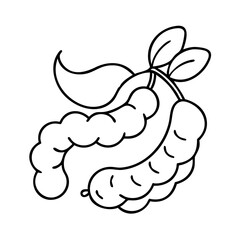 tamarind fruit icon, tamarind fruit line art - simple line art of tamarind fruit, perfect for tamarind fruit logos and icons