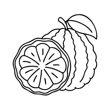 ugli fruit icon, ugli fruit line art - simple line art of ugli fruit, perfect for ugli fruit logos and icons