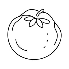 white sapote icon, white sapote line art - simple line art of white sapote, perfect for white sapote logos and icons