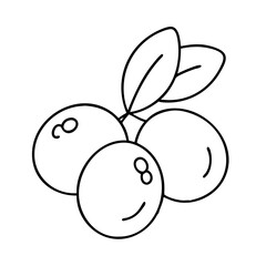 yumberry icon, yumberry line art - simple line art of yumberry, perfect for yumberry logos and icons