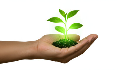 Hand holding glowing plant, sustainability concept