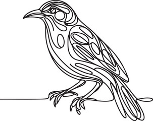 Bowerbird Line Drawing Vector Art