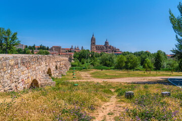 Salamanca roman bridge view to cathedral Castile and Le&oacute;n Spain with colourful flowers