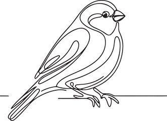 Beautiful Canary Line Art Vector Illustration