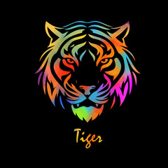 Tiger colored head on black background. hand drawing. Not AI, Vector illustration.