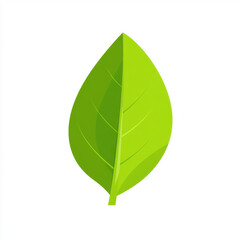 Obraz premium Vibrant Green Leaf Illustration