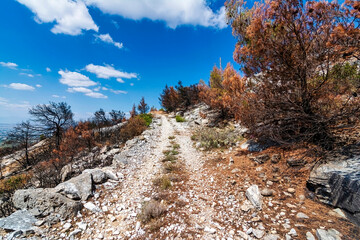 Burnt Rocky Trail Overlooking Athens from Penteli